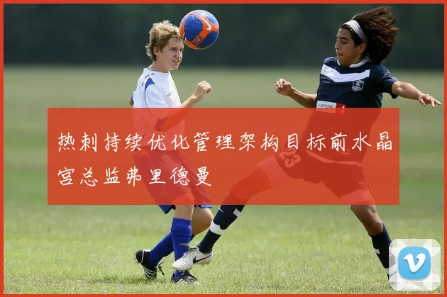 热刺持续优化管理架构目标前水晶宫总监弗里德曼