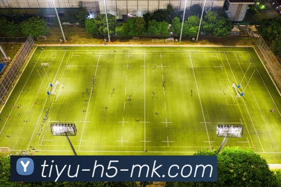 MK体育平台生态图