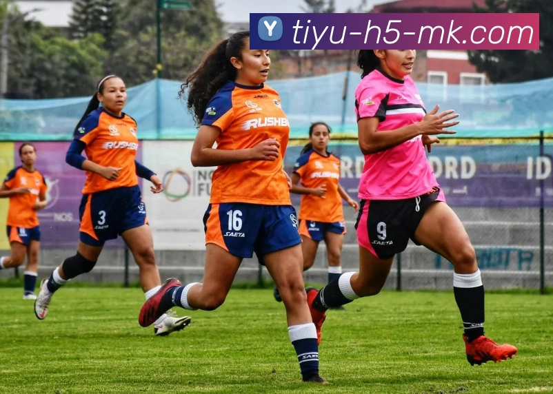 MK体育APP 封面图