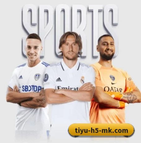 MK体育 APP - mksports