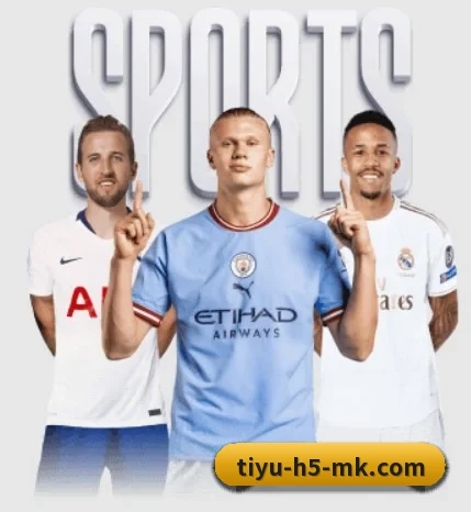 MK体育围绕看球场景设计的核心服务 - mksports