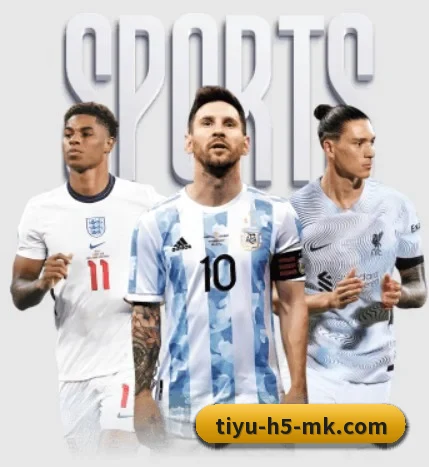 坚持做好基础的事 - mksports